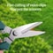 Precision Stainless Steel Pruning Shears for Bonsai, Garden & Household Trimming