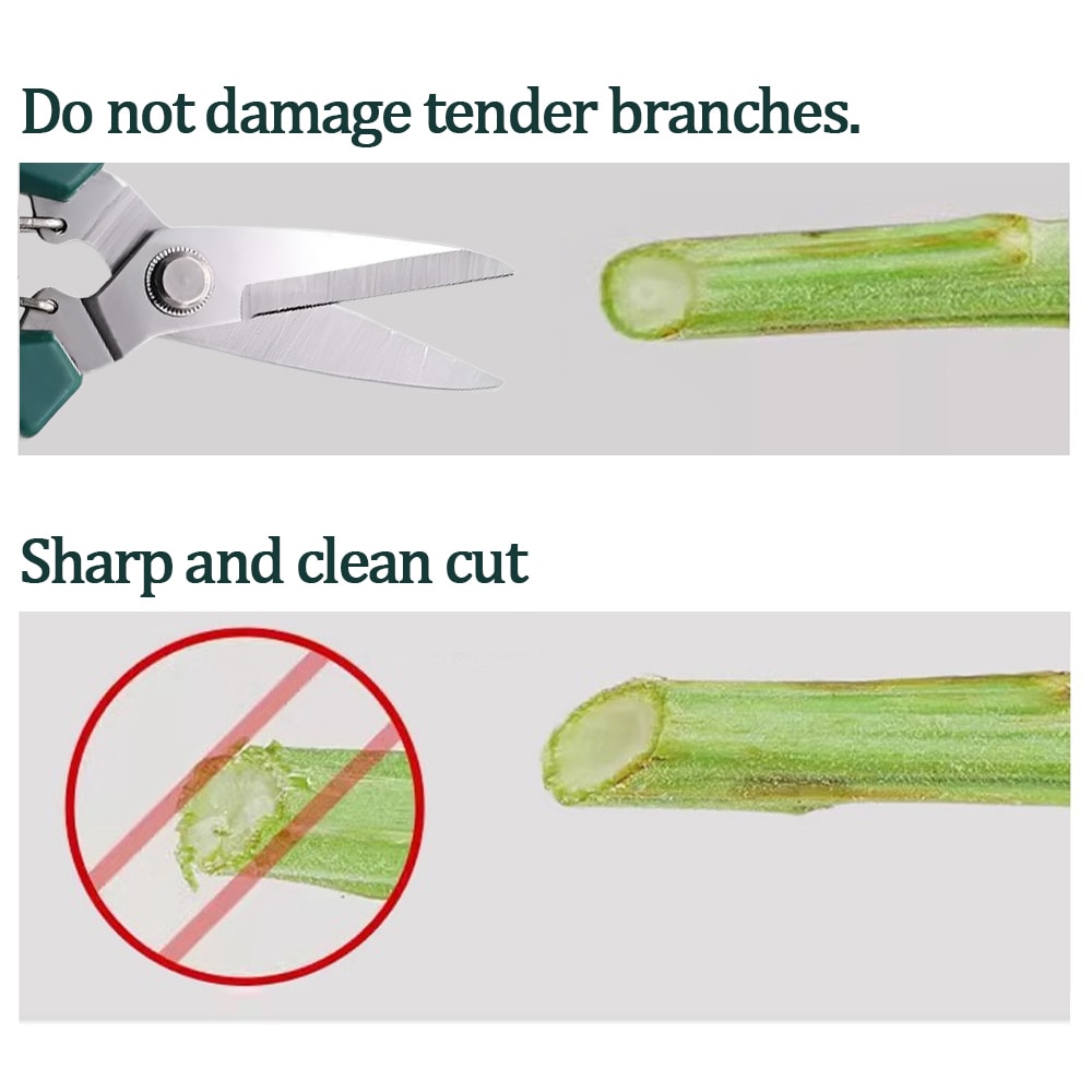 Precision Stainless Steel Pruning Shears for Bonsai, Garden & Household Trimming