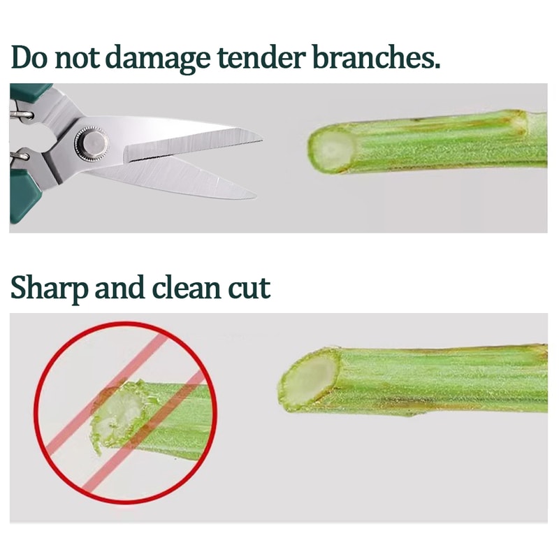 Precision Stainless Steel Pruning Shears for Bonsai, Garden & Household Trimming