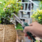 Precision Stainless Steel Pruning Shears for Bonsai, Garden & Household Trimming