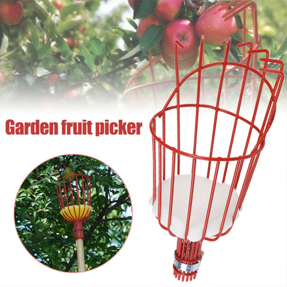 Extendable Fruit Picker Tool with Cushion Basket for Safe Orchard Harvesting