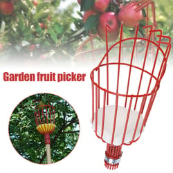 extendable fruit picker tool with cushion basket for safe orchard harvesting
