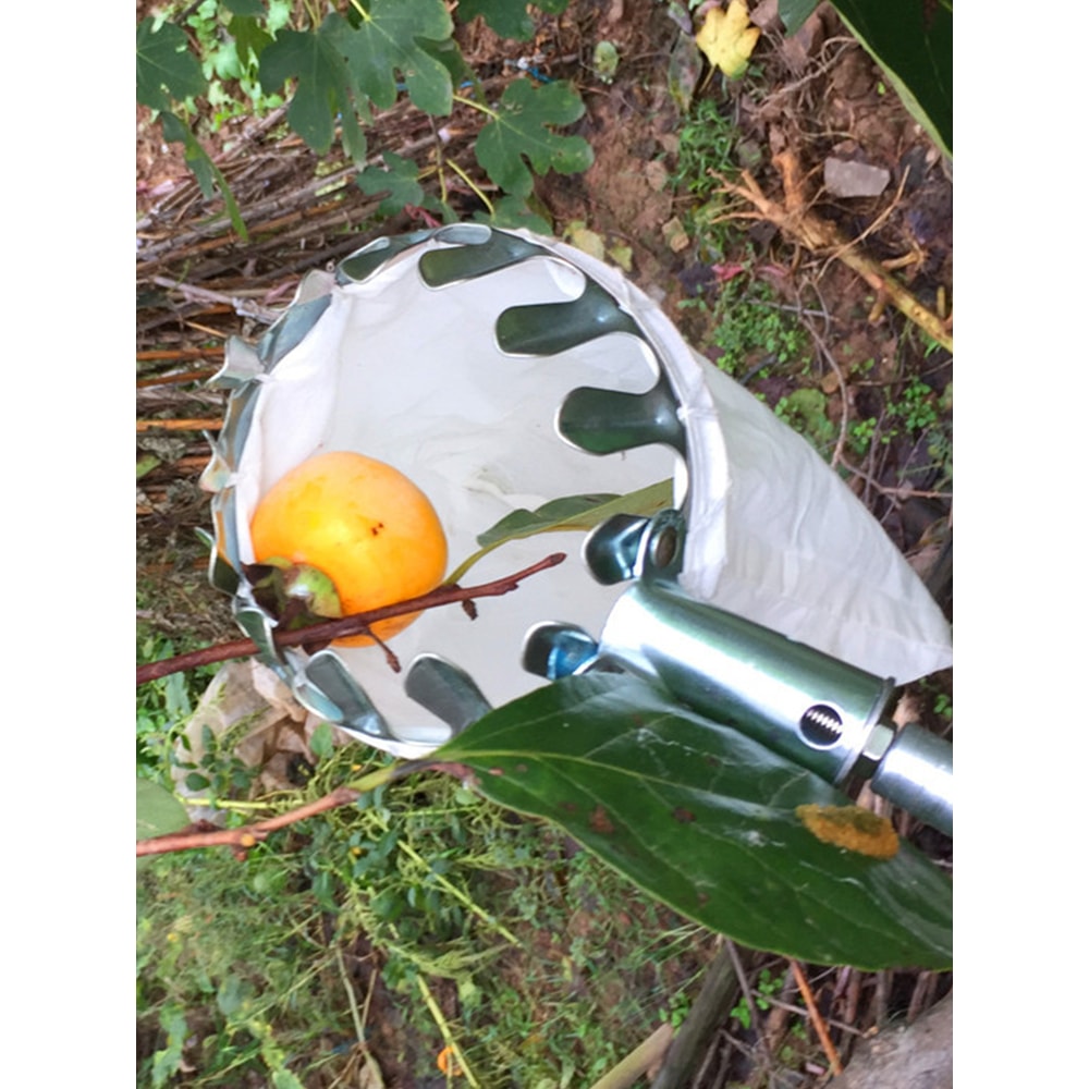 Extendable Fruit Picker Tool with Cushion Basket for Safe Orchard Harvesting