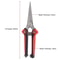PrecisionCut Stainless Steel Pruning Shears for Garden Fruit Tree Trimming