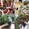 Mini Garden Tool Set For Indoor Plants Succulents With Shovel Rake And Weeding Tools 2