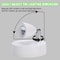 LumaGlow Rechargeable Plant Spotlight with Remote Control for Ambient Room Lighting