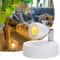 LumaGlow Rechargeable Plant Spotlight with Remote Control for Ambient Room Lighting