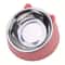 WhiskerEase Elevated Cat Bowl with Stainless Steel Tilted Feeding Dish for Cats