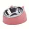 WhiskerEase Elevated Cat Bowl with Stainless Steel Tilted Feeding Dish for Cats