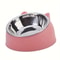 WhiskerEase Elevated Cat Bowl with Stainless Steel Tilted Feeding Dish for Cats