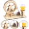 Hand Crank STEM Generator Kit for Kids DIY Science Experiment Building Toy