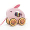 Wooden Animal Pull Along Toy For Toddlers Educational Walking Companion 6