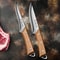 ForgePro Boning Knife Stainless Steel Meat Deboning Bone Scraper Knife 1
