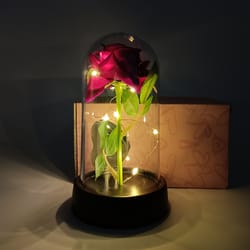 led eternal rose glass dome gift for her romantic lighted flower decoration