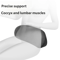ErgoDrive Memory Foam Lumbar Support Cushion for Car Seat and Office Chair