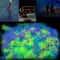 Glow In The Dark Star Wall Stickers Set Luminous Ceiling Bedroom Decor 1