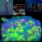Glow In The Dark Star Wall Stickers Set Luminous Ceiling Bedroom Decor 1