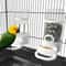 Automatic Bird Water Dispenser For Cage Hanging Parrot Feeder Bottle 0