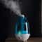 Dual Nozzle Ultrasonic Humidifier & Essential Oil Diffuser for Home, Office & Baby Room
