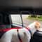 Premium Adjustable Dog Car Seat Belt & Harness Leash for Safe Backseat Travel