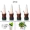 AquaRoot Self Watering Plant Spikes Set Plant Self Watering Spikes for Indoor & Outdoor Plants