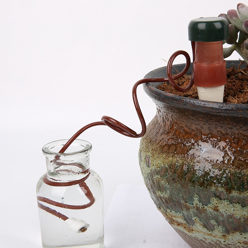 AquaRoot Self Watering Plant Spikes Set Plant Self Watering Spikes for Indoor & Outdoor Plants