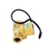Smart Brass Water Pressure Booster Pump Switch With Dry Run Protection Flow Controller 5