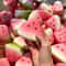Watermelon Bliss Slow Rising Squishy Stress Relief Toy 1