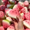 Watermelon Bliss Slow Rising Squishy Stress Relief Toy 1