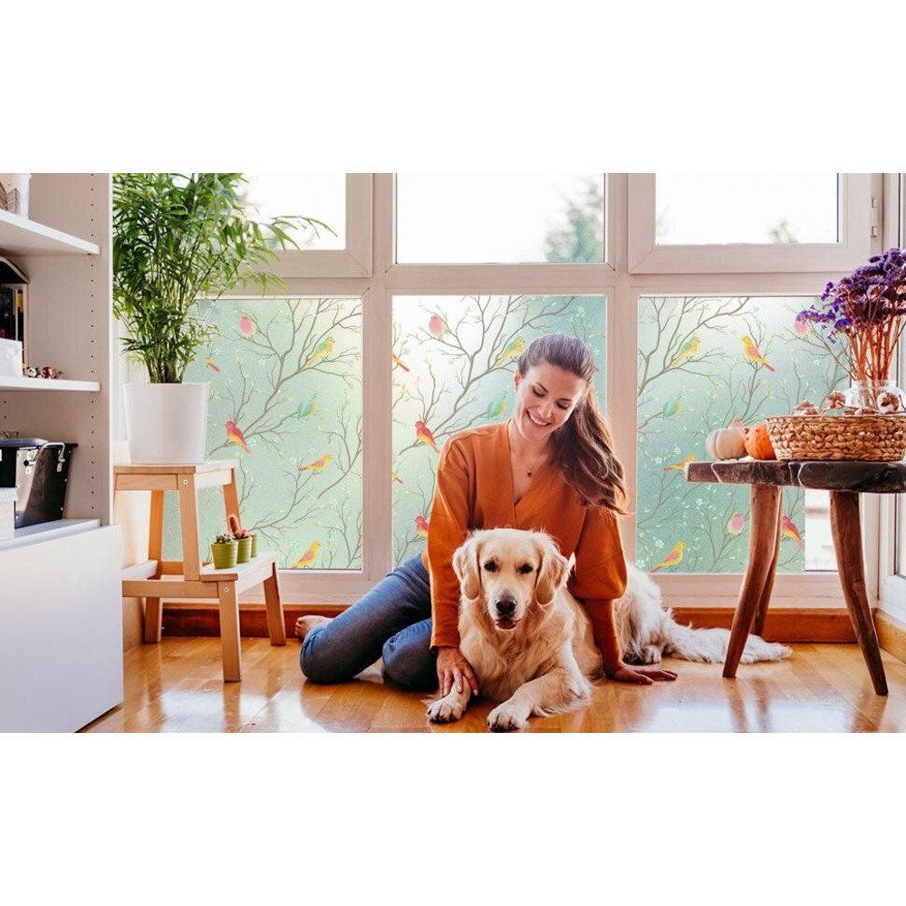 Opaque Privacy Window Film with Static Cling Decorative Bird Decals Frosted Glass Stickers for Ho