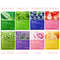 8pcs Natural Plant Face Mask Set Korean Beauty Skincare For Moisturizing Firming Hydrating 6