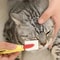 Pet Eye Cleaning Brush Soft Silicone Head Cat Dog Tear Stain Remover Gentle Excrement Brush For Sma 1