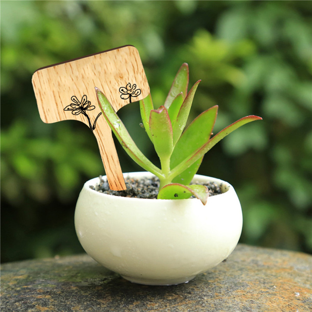 EcoFriendly TType Bamboo Plant Labels Sustainable Wooden Garden Markers For Bonsai Herbs Flowers S 1