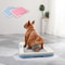 Portable Dog Training Toilet,Indoor Potty for Small Dogs &Cats with Puppy Pad Holder,47cm Tray for Puppy Pad Training bo