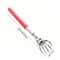 Portable Extendable Back Scratcher, Stainless Steel Telescoping Back Scratcher for Human & Pets,Extendable Back Massager