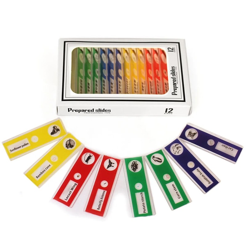 Educational Mini Handheld Microscope With LED Light Battery Powered Kid Science Experiment Pocket M 4