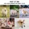 NonSlip Dog Shoes With Thick Plush Soles Warm Paw Protection Breathable Pet Boots For Climbing 2