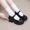 Women Lolita Shoes PU Leather Platform Mary Janes Vintage Chunky Heels Pumps Japanese Style Heels F 4