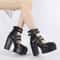 Platform Mary Jane Shoes, Goth Style Women Block Heels, Halloween Fashion Buckle Strap Dress Pumps