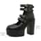 Platform Mary Jane Shoes, Goth Style Women Block Heels, Halloween Fashion Buckle Strap Dress Pumps