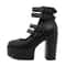 Platform Mary Jane Shoes, Goth Style Women Block Heels, Halloween Fashion Buckle Strap Dress Pumps