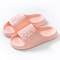 Summer Women Slippers NonSlip Platform Flip Flops Cat Cartoon Slides Beach Sandals For Ladies 2