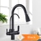 Black Pull Out Kitchen Faucet 3 Way Water Filter Tap Purification System Torneira Para Cozinha De P 1