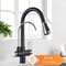 Black Pull Out Kitchen Faucet 3 Way Water Filter Tap Purification System Torneira Para Cozinha De P 4