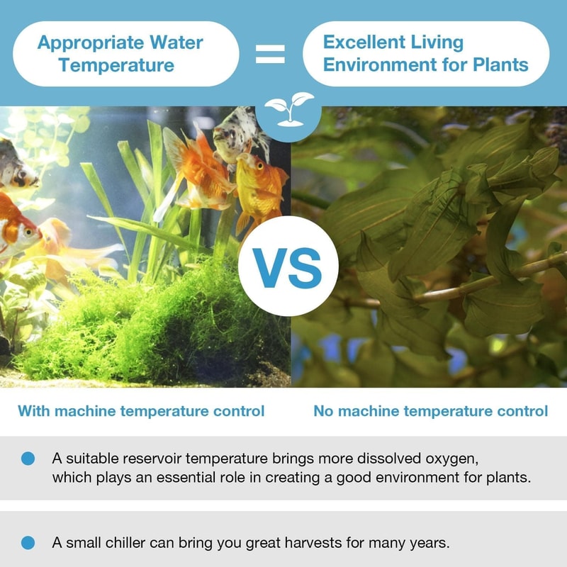 Water Chiller Aquarium Chiller 79gal Fish Tank Cooling System With Ice Plunge Tub For Hydroponic Co 3