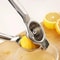 Manual Juicer Stainless Steel Lemon Squeezer, Citrus Press for Orange and Fruit Juicing, Kitchen Accessories