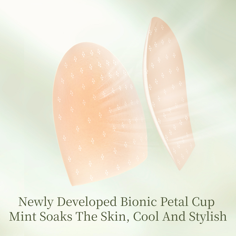 Sexy Womens Lace Bra Seamless Wireless Thin Bras For Women Triangle Cup Beautiful French Back Bra F 6