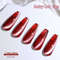 Gel Nail Polish  Red Cat Eye Nail Varnish Gel For Professional  Home Manicures 3