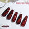 Gel Nail Polish  Red Cat Eye Nail Varnish Gel For Professional  Home Manicures 7