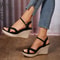 Platform Heel with Criss Cross Straps Open Toe Design 1